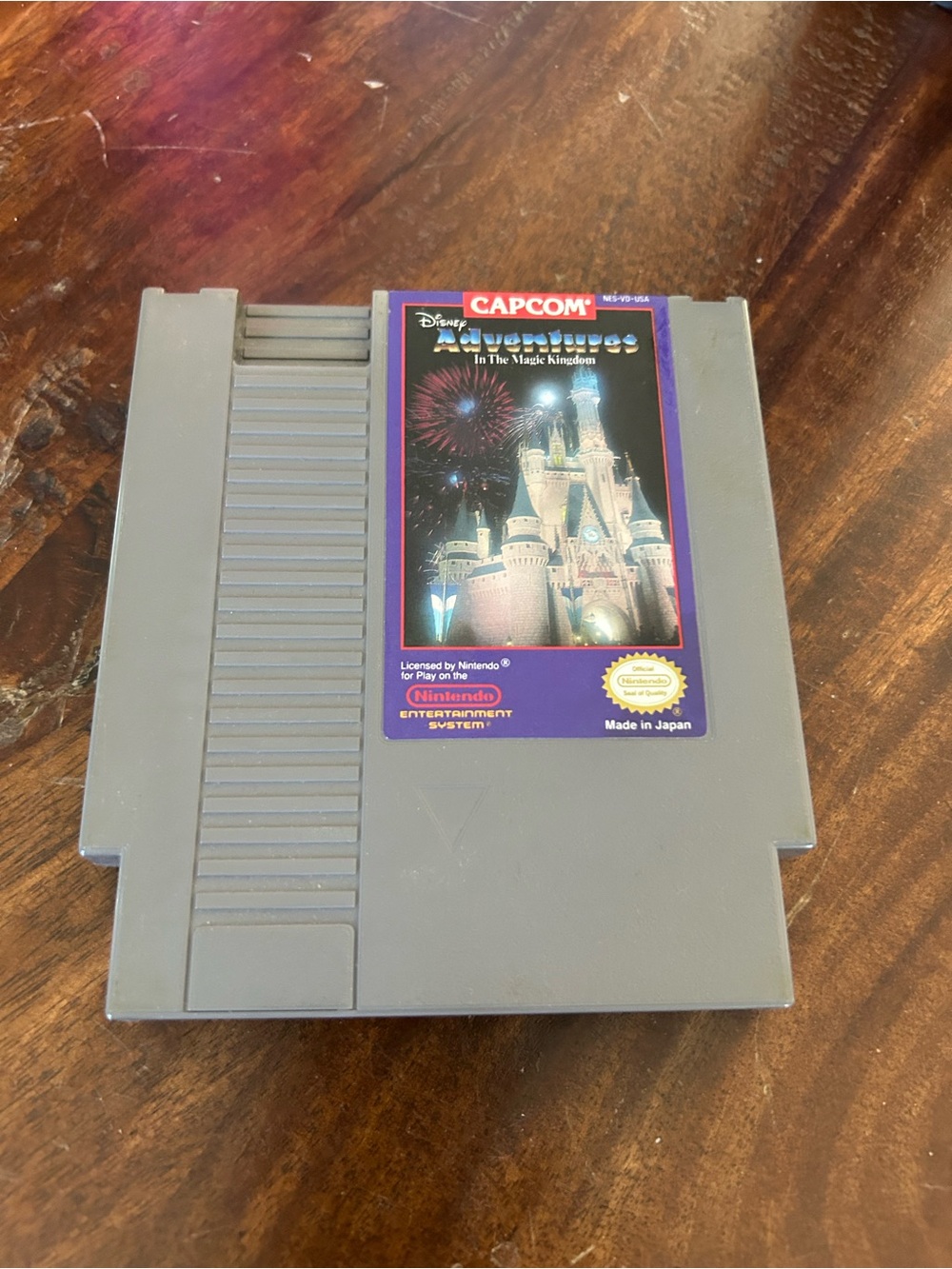 Disney Adventures In the Magic Kingdom Nintendo